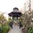 Casibo in the garden at Villa Da Vinci Retirement Residence in Vaughan