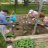 Gardening at Woods Park