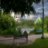 View of lake from Martindale Gardens Retirement Residence