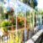 Greenhouse at Aspira Mayfair Terrace Retirement Living