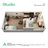 Aspira Stonebridge Crossing Studio