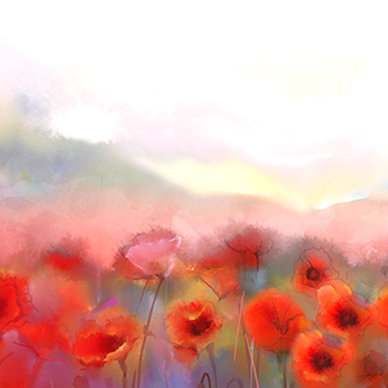 Poppies