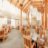 Dining room at Aspira Cedarvale Lodge Retirement Living